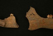 Ai là người đầu tiên đặt chân đến vùng biển Caribbean?