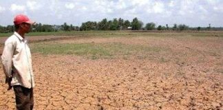 Khô hạn ở Nam Trung Bộ kéo dài tới tháng 9