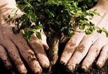 12 phương thức mai táng kỳ dị nhất thế giới