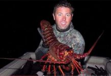 Tôm hùm khổng lồ 70 tuổi