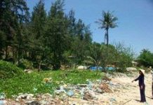 Kinh hoàng mãnh thú xuất hiện ở Quảng Ngãi Kinh hoàng mãnh thú xuất hiện ở Quảng Ngãi