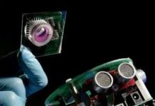 Người máy ‘sống’ nhờ não chuột Người máy 'sống' nhờ não chuột