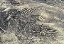 Những hình vẽ kỳ lạ trên vùng sa mạc