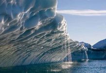 Tình trạng ấm lên toàn cầu gây hậu quả khủng khiếp