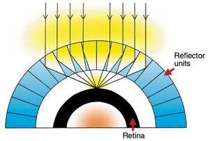 Mắt tôm hùm và ứng dụng không thể ngờ tới trong công nghệ X quang