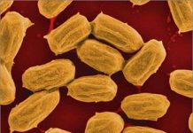 Độ ẩm có thể trở thành nguồn năng lượng mới