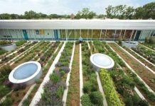 Những mô hình nông nghiệp an toàn và bền vững của tương lai