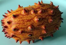 Tìm hiểu loại quả thân nhiều gai giống sâu nhưng ruột lại giống dưa chuột