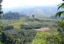 Động đất mạnh 7,1 richter rung chuyển Papua New Guinea