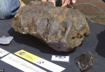 Phát hiện thiên thạch 5,3 triệu USD giữa cánh đồng