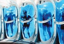 Thế giới lạnh lẽo của sự bất tử