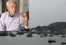 Quái vật khổng lồ biển Cát Bà?