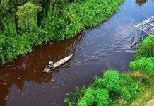 LHQ công bố bản đồ hệ sinh thái Mỹ Latinh và Caribe LHQ công bố bản đồ hệ sinh thái Mỹ Latinh và Caribe