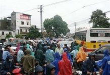 Việt Nam có nguy cơ mất 12,2% diện tích đất sinh sống Việt Nam có nguy cơ mất 12,2% diện tích đất sinh sống