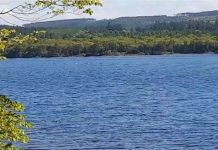 Video: "Bướu lưng" nhô trên mặt nước nghi thuộc về quái vật Loch Ness