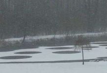 Dân Mỹ xôn xao vì vòng tròn bí ẩn trên mặt ao