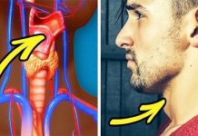 "Miếng táo của Adam" và những sự thật hoảng hồn về phái mạnh