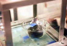 Thiên thạch có thể mang sự sống đầu tiên tới Trái Đất