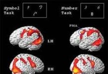 Người Anh và Trung Quốc làm toán khác nhau