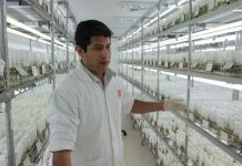 Kế hoạch trồng khoai tây trên sao Hỏa của NASA Kế hoạch trồng khoai tây trên sao Hỏa của NASA