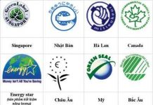 Sản phẩm xanh vẫn bán chạy bất chấp kinh tế suy thoái