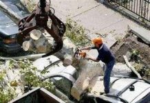 Bão gây rối loạn New York