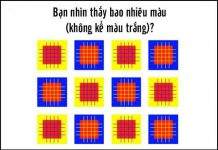 Bạn nhìn thấy bao nhiêu màu trong bức hình này?