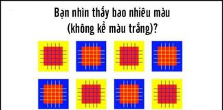 Bạn nhìn thấy bao nhiêu màu trong bức hình này?