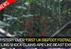 Phát hiện quái vật Bigfoot to lớn trong rừng gây sốc?