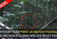 Phát hiện quái vật Bigfoot to lớn trong rừng gây sốc?