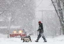 Mỹ: 16 người chết vì giá lạnh và bão tuyết