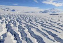 Băng Nam Cực sẽ tan nhanh trong nhiều thập kỷ tới