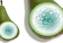 Tại sao lê dễ hỏng hơn táo trong quá trình bảo quản?