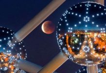 Mong chờ quan sát "Gấu ăn trăng"