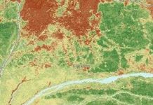 Bản đồ online về trữ lượng các-bon rừng mưa toàn cầu