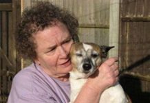 Chó cứu chủ khỏi họa chết cháy