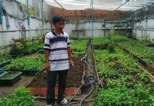 Hệ thống tưới rau qua điện thoại di động độc nhất ở Việt Nam