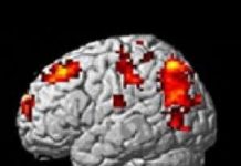 Trẻ 12 tuổi học hỏi từ sai lầm