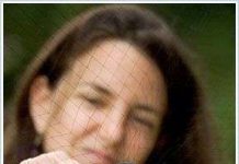 Bộ lông tạo nên bản lĩnh của chim én đực