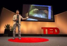 Máy tính 3D "nhúng" tay người dùng vào màn ảnh