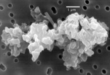 Phát hiện nguồn gốc bụi vũ trụ trên Trái Đất