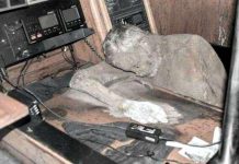 Tìm thấy "xác ướp" nhà thám hiểm trong "du thuyền ma"