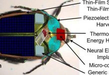 Robot côn trùng thám hiểm môi trường Robot côn trùng thám hiểm môi trường