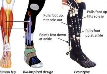 Thiết bị hỗ trợ chân công nghệ mới