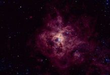 Chụp ảnh tinh vân Tarantula từ khoảng cách gần