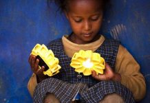 Đèn quang năng cho vùng sâu