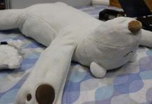 Robot chữa chứng ngáy ngủ