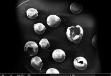 Công nghệ bọc đường biến máy bay vô hình