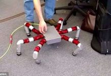 Chế tạo "quái vật" robot sáu chân