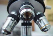 Kính hiển vi SRS mới ứng dụng công nghệ MRI